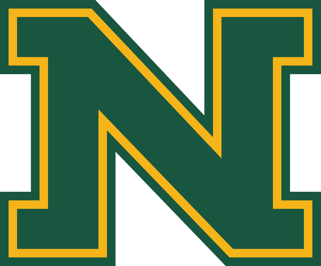 Northern Michigan Wildcats 2016-Pres Alternate Logo t shirts iron on transfers